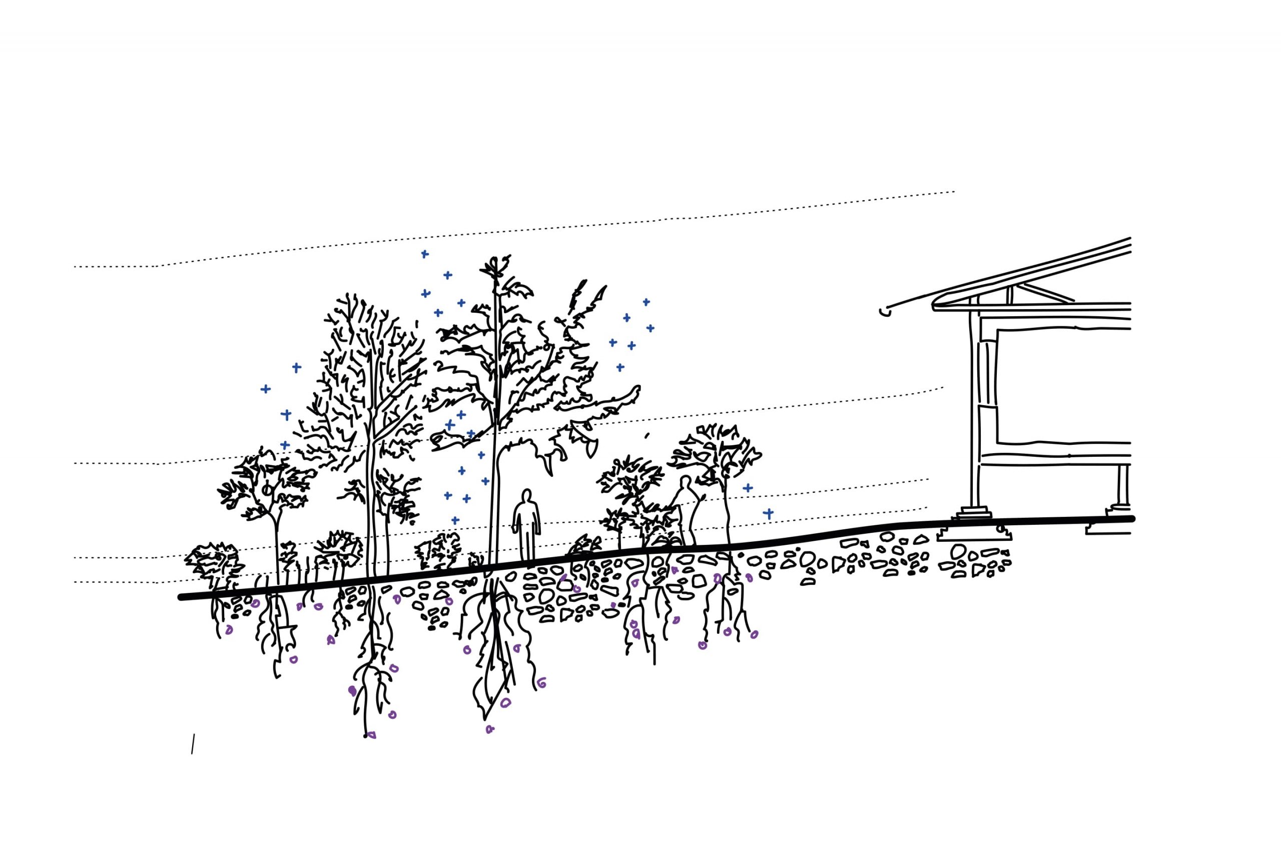 VEZH_baukreisel_natur